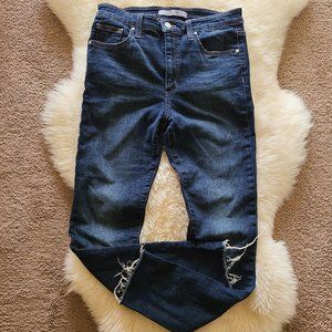 Joe's Jeans High Rise Skinny Ankle Raw Hem Jeans Size 28